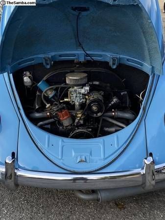 Unknown-Beetle-1957-3