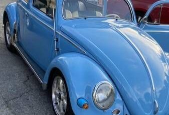 Unknown-Beetle-1957