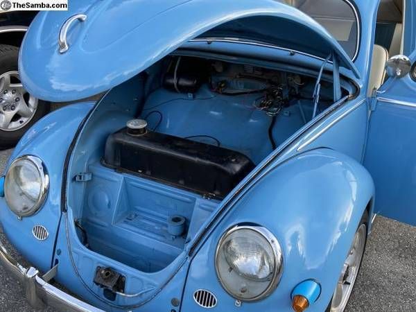 Unknown-Beetle-1957-4