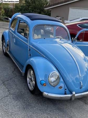 Unknown-Beetle-1957