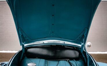 Unknown-Beetle-1959-Blue-Orange-21