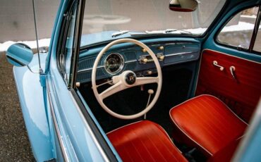 Unknown-Beetle-1959-Blue-Orange-35