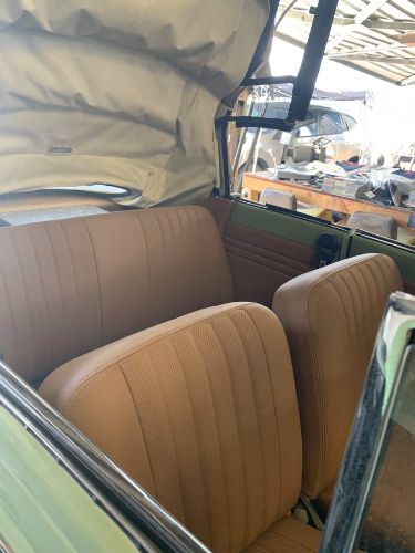 Unknown-Beetle-1960-Green
