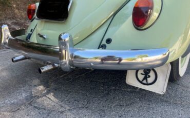 Unknown-Beetle-1961-1