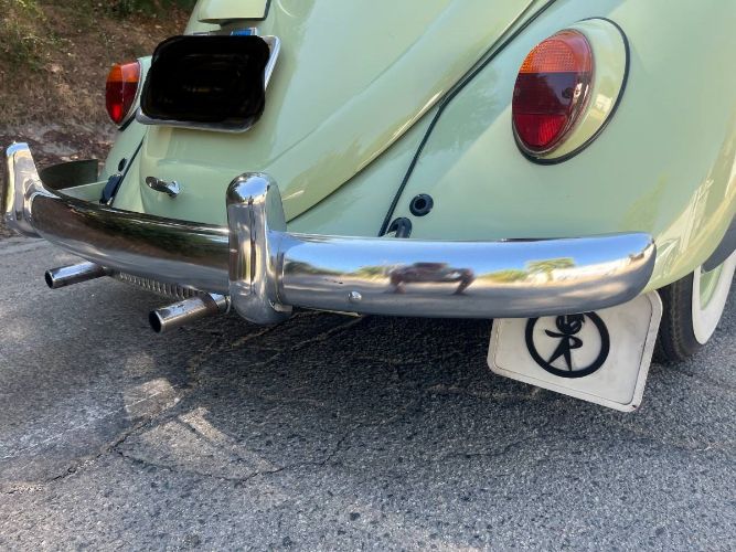 Unknown-Beetle-1961-1