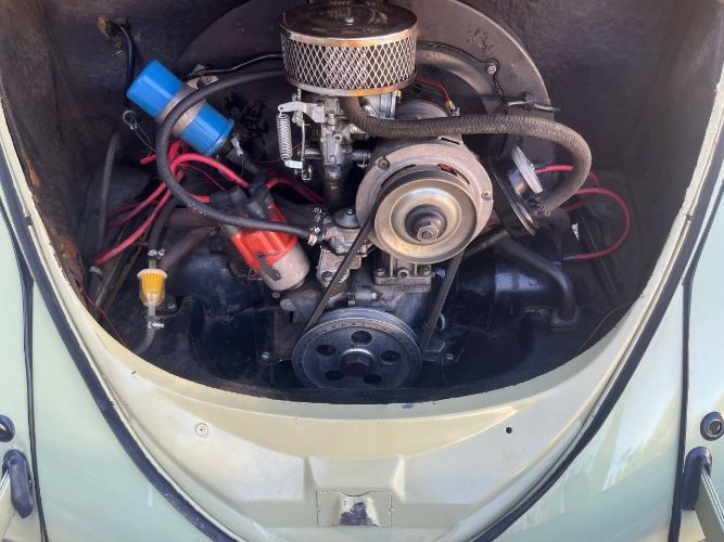 Unknown-Beetle-1961-10