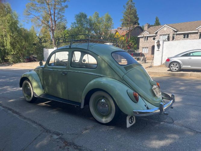 Unknown-Beetle-1961-13