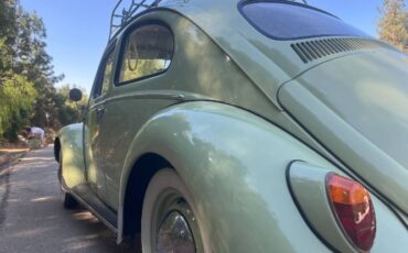 Unknown-Beetle-1961-14