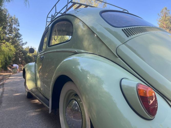 Unknown-Beetle-1961-14
