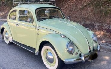 Unknown-Beetle-1961-15
