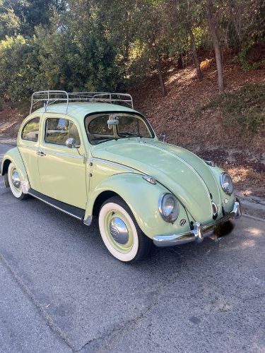 Unknown-Beetle-1961-15