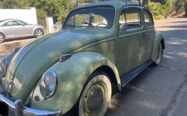 Unknown-Beetle-1961-3
