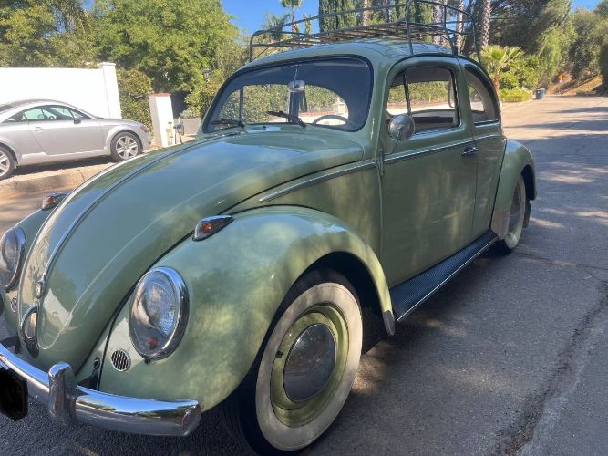 Unknown-Beetle-1961-3