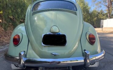 Unknown-Beetle-1961