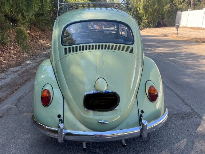 Unknown-Beetle-1961-4