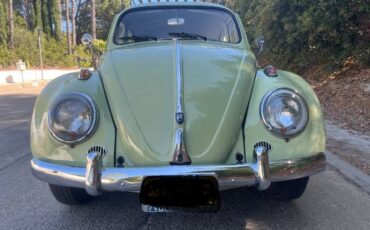 Unknown-Beetle-1961-5