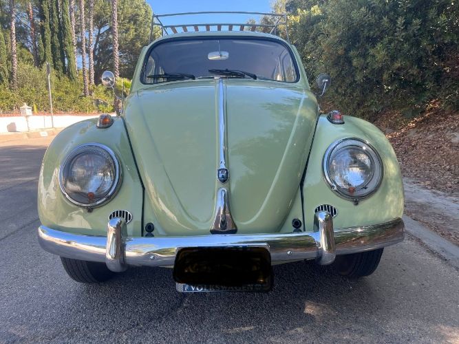Unknown-Beetle-1961-5