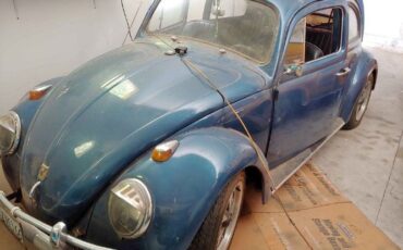 Unknown-Beetle-1961-Blue-Black