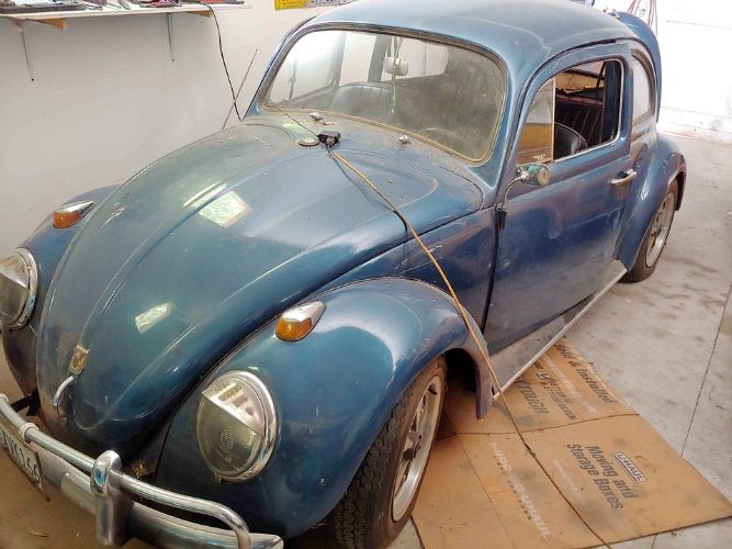 Unknown-Beetle-1961-Blue-Black