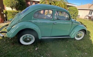 Unknown-Beetle-1961-Green-1