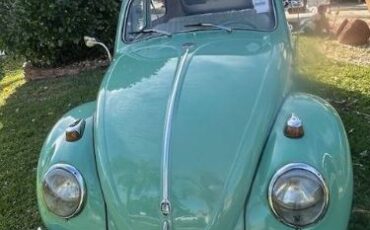 Unknown-Beetle-1961-Green-4