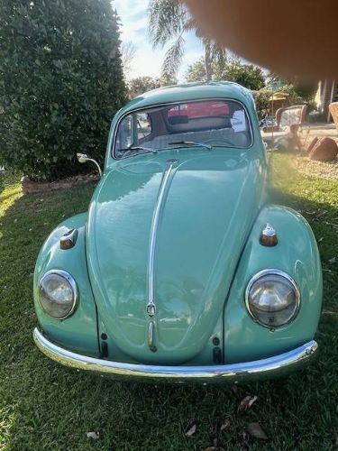 Unknown-Beetle-1961-Green-4