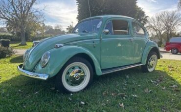 Unknown-Beetle-1961-Green-6