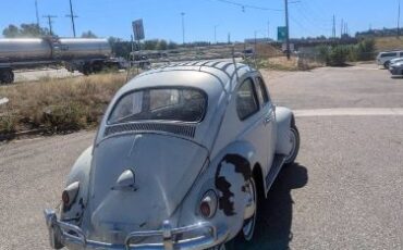 Unknown-Beetle-1961-White-3