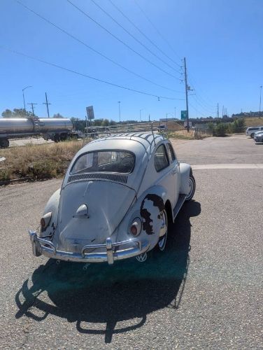 Unknown-Beetle-1961-White-3