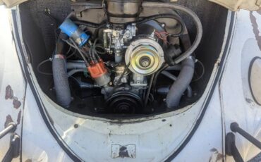 Unknown-Beetle-1961-White-4