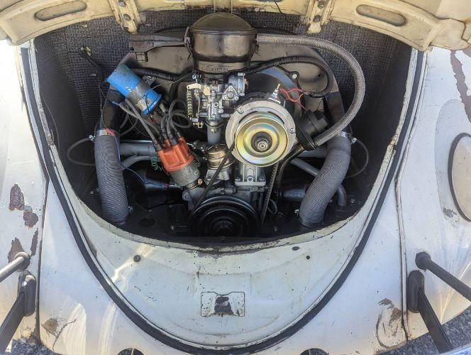 Unknown-Beetle-1961-White-4