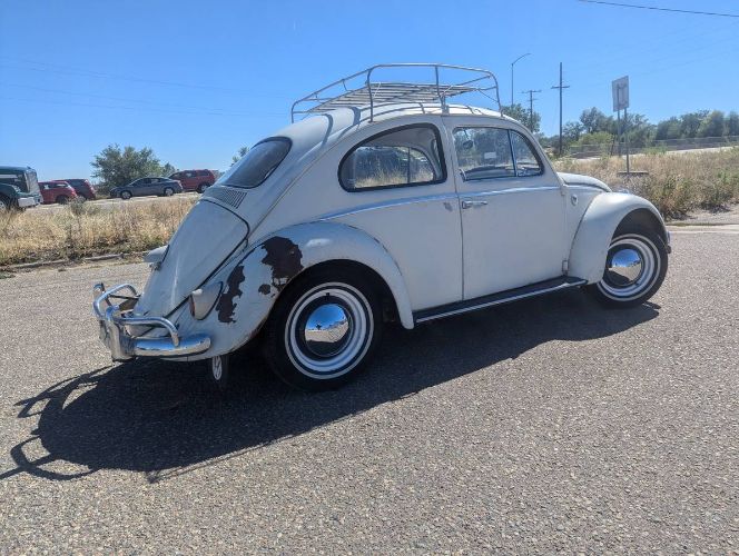 Unknown-Beetle-1961-White-5