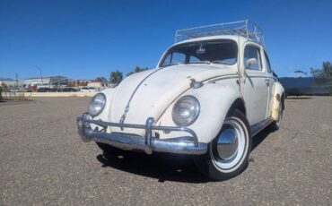 Unknown-Beetle-1961-White-6