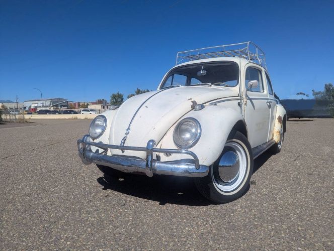 Unknown-Beetle-1961-White-6