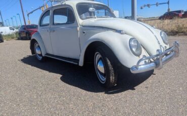 Unknown-Beetle-1961-White-8