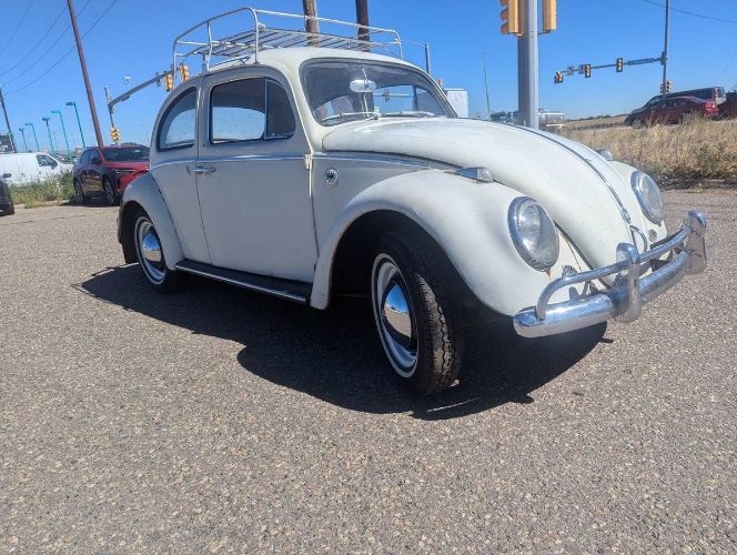 Unknown-Beetle-1961-White-8