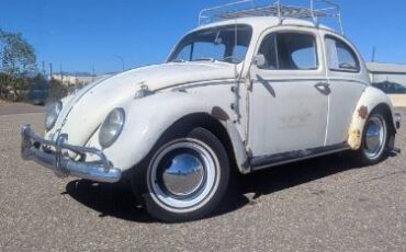 Unknown-Beetle-1961-White-9