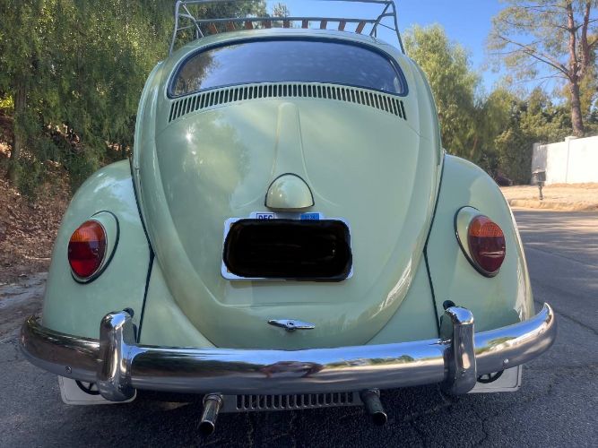 Unknown-Beetle-1961