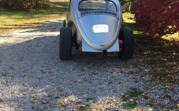 Unknown-Beetle-1963