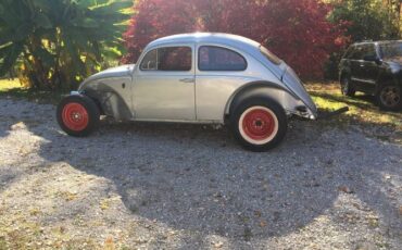 Unknown-Beetle-1963-5