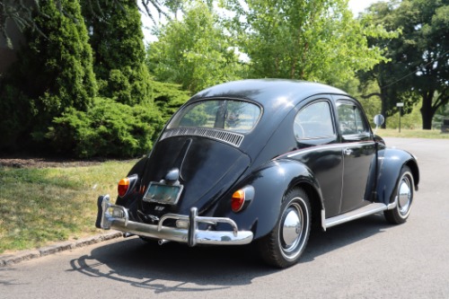 Unknown-Beetle-1963-Black-Black-7