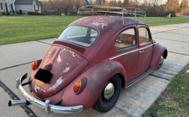 Unknown-Beetle-1963-Red-off-White-1
