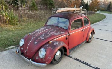 Unknown-Beetle-1963-Red-off-White