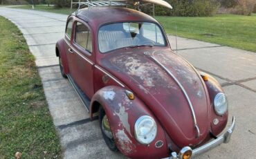 Unknown-Beetle-1963-Red-off-White-9