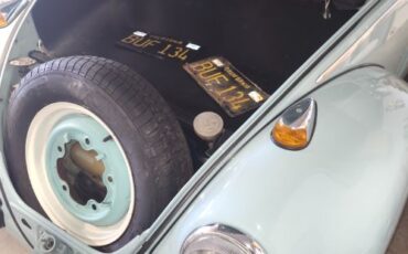 Unknown-Beetle-1964-1
