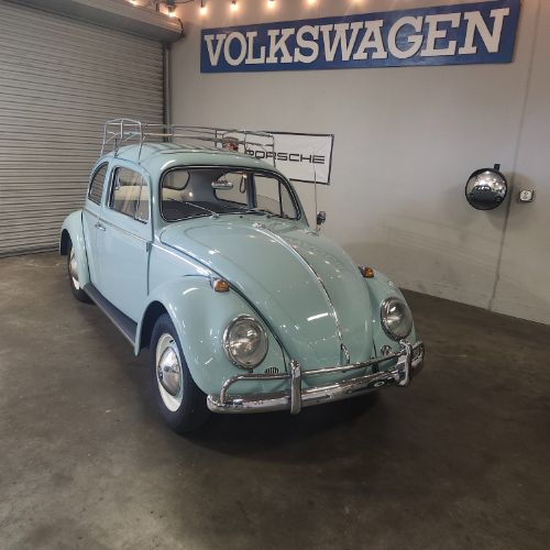 Unknown-Beetle-1964-11