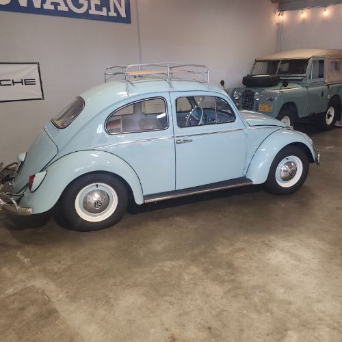 Unknown-Beetle-1964-12
