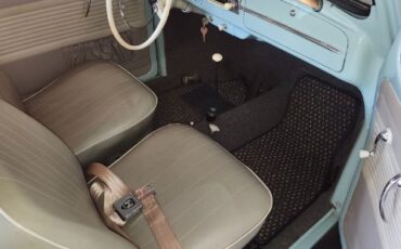 Unknown-Beetle-1964-13