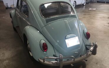 Unknown-Beetle-1964-2