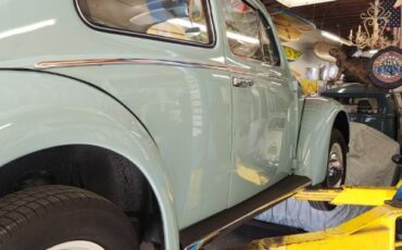 Unknown-Beetle-1964-21